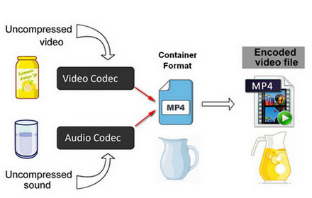 Check Video Codec