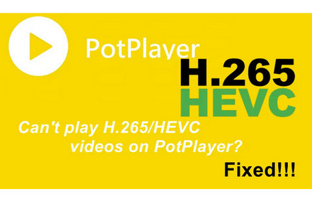 PotPlayer H.265