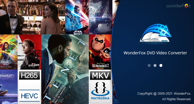WonderFox DVD Video Converter 29.5 for windows instal