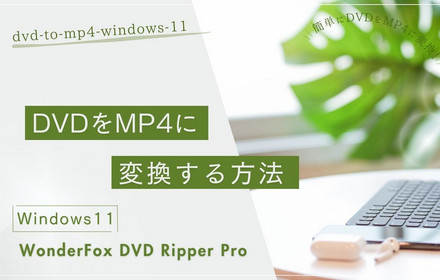 Windows11でDVDをMP4に変換