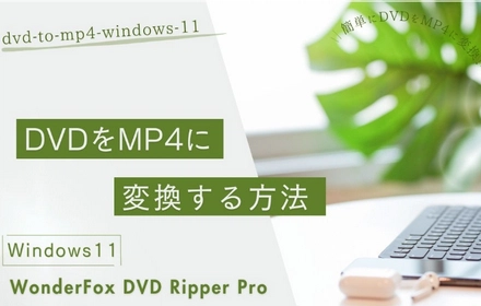 Windows11でDVDをMP4に変換