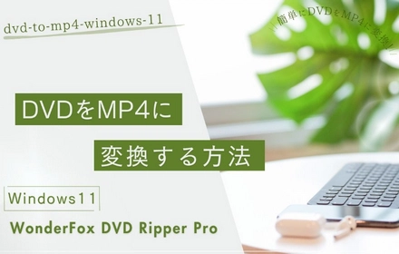 Windows11でDVDをMP4に変換