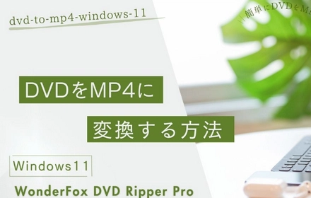 Windows11でDVDをMP4に変換