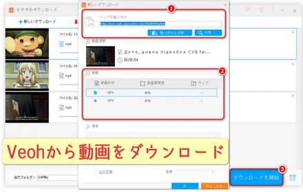 Veohから映画、アニメなどの動画をダウンロードする方法