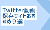 Twitter動画保存サイト