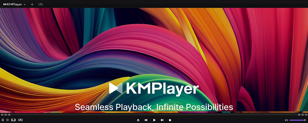 無料GoPro動画再生ソフト KMPlayer