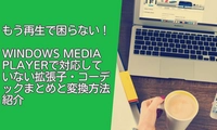 「ビデオを再生するにはコーデックが必要です」エラー対策