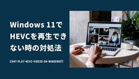 hevc 再生 できない windows11