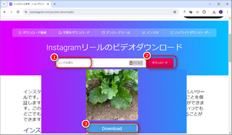 インスタリールダウンロードサイト