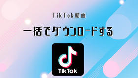 TikTok動画を一括でダウンロード