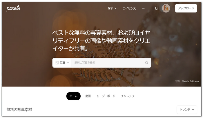 動画素材サイト－「Pexels」