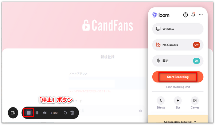 録画サイトを使用してCandfansの動画を録画