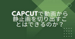 CapCutで動画から静止画を切り出す