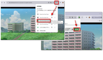 拡張機能Video Downloader professionalを使用する