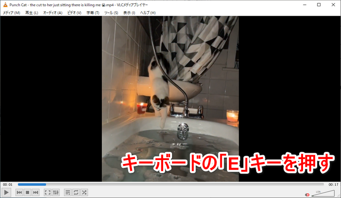 VLC media playerで動画をコマ送りする