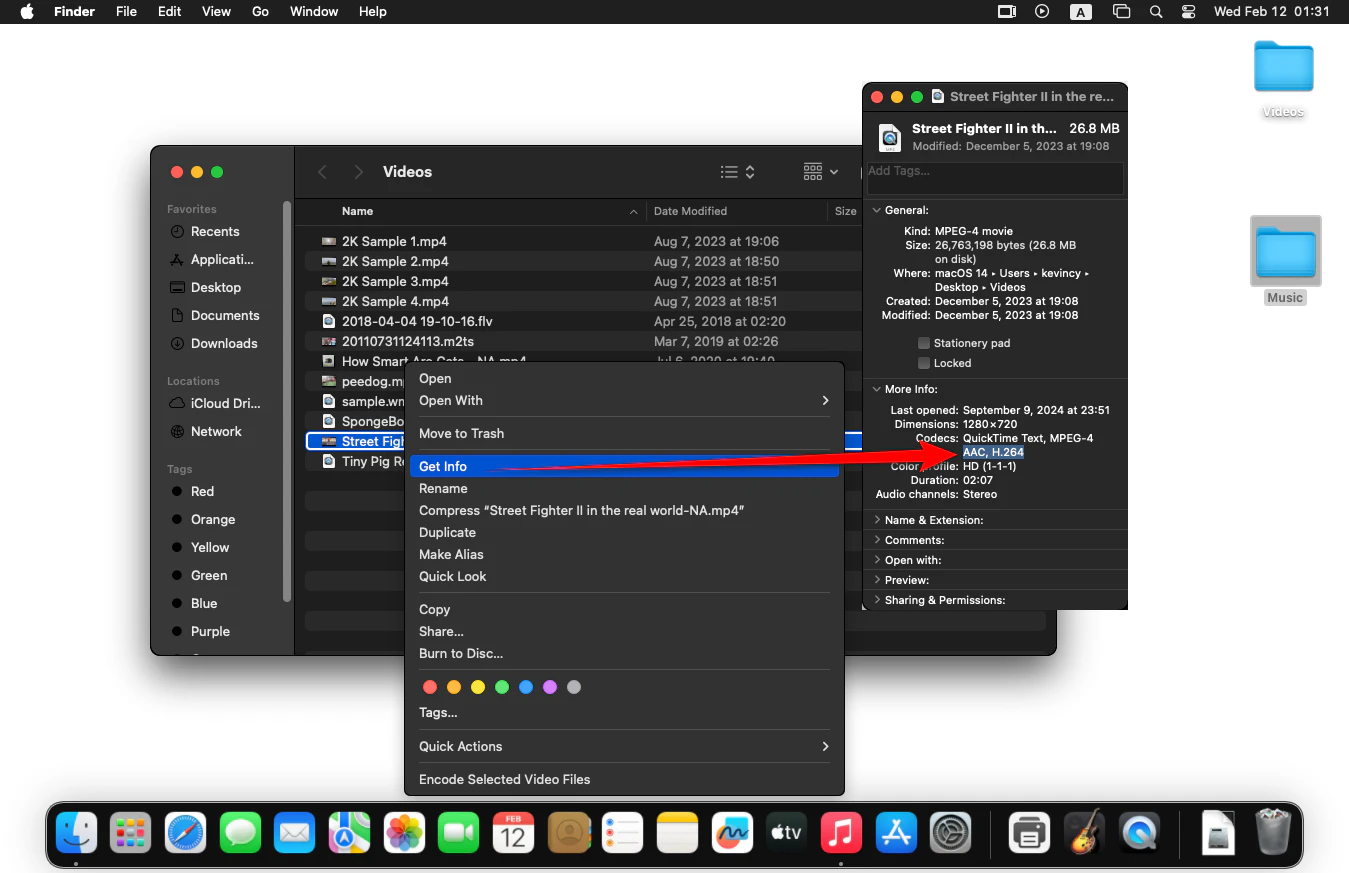 Check Audio Codec on Mac