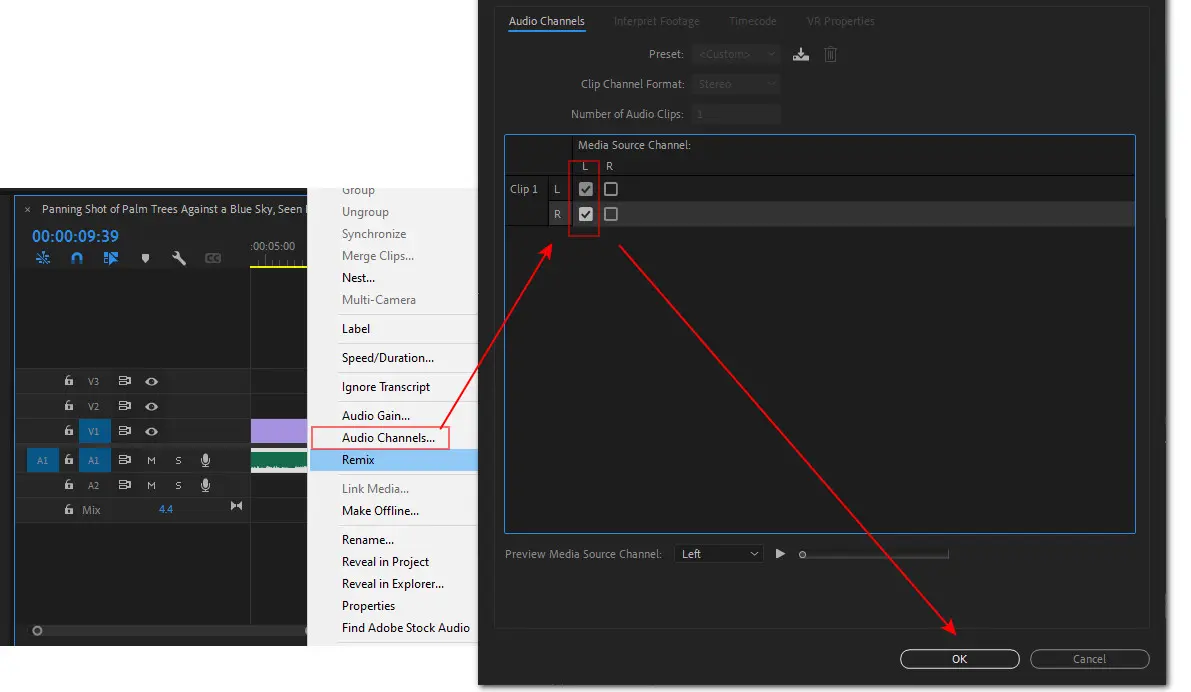 Record Stereo Audio in Premiere Pro