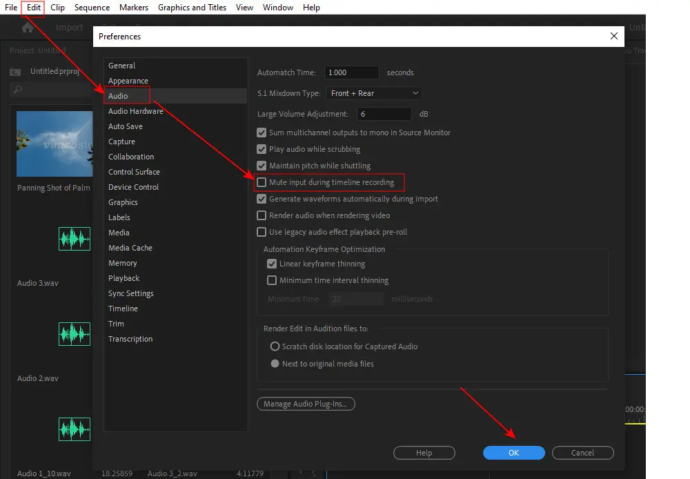 Enable Mute Input During Timeline Recording