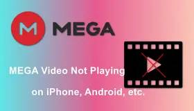 MEGA Video Not Playing on iPhone