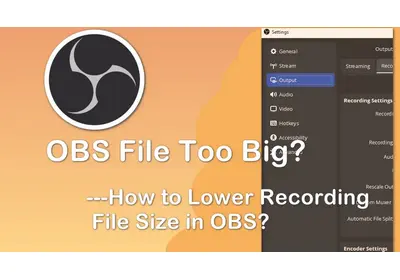 OBS File Size