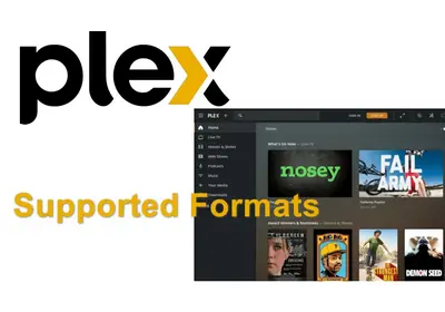 Plex Support Formats