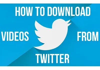 How to Download Twitter Videos