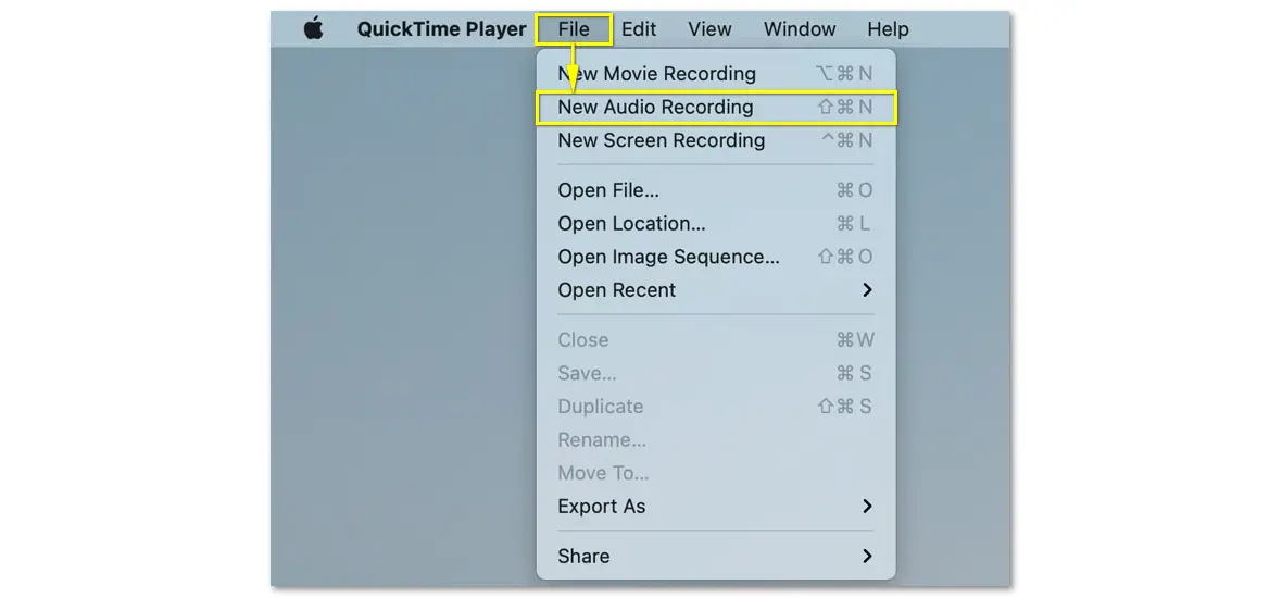 Select New Audio Recording