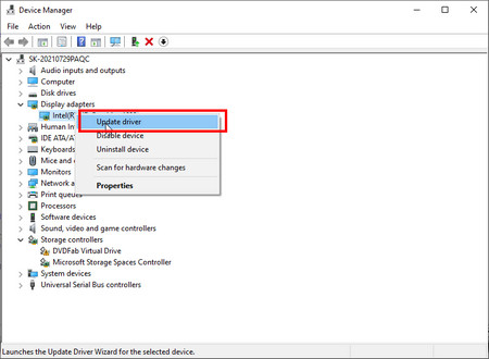 Update the Display Adapter Driver