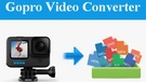 GoPro Video Converter