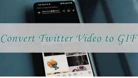 Download and Convert Twitter Video to GIF