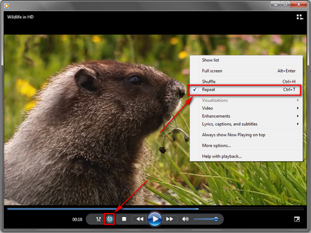download music from youtube to windows media player