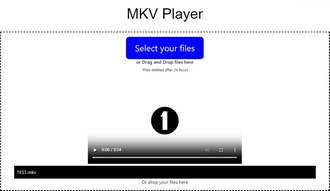 Use MKV.to Online MKV Player