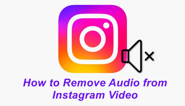 Remove Audio from Instagram Video