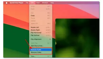 Remove Audio