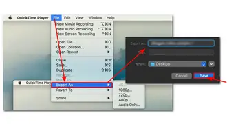 Export Video in QuickTime