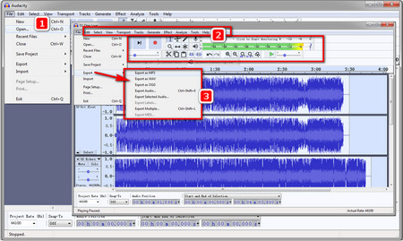 How to Rip CD with Audacity