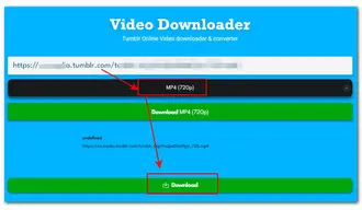 Online Tumblr Video Downloader