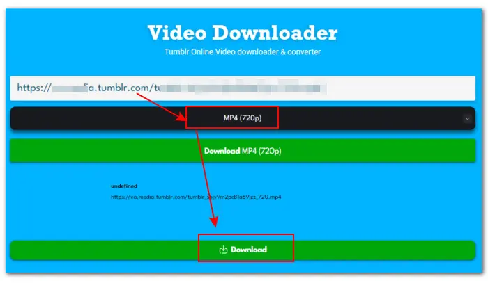 Online Tumblr Video Downloader