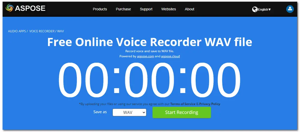 WAV Recorder Online