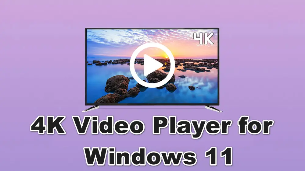 10 Best 4K Video Player for Windows 11 Free Download Here!