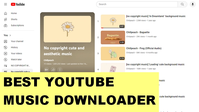 Best Youtube Music Downloader Software.webp