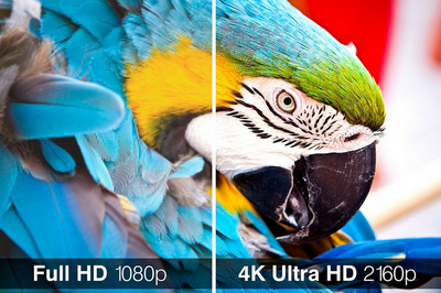 Top 9 Websites for 4K/8K RAW Footage Free Download [2023]