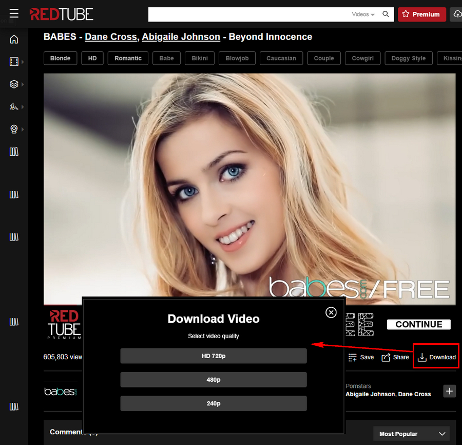 Porn Hd Dawnlod Utube - How to Download RedTube Videos Free for Convenient Playback without Network  Access?