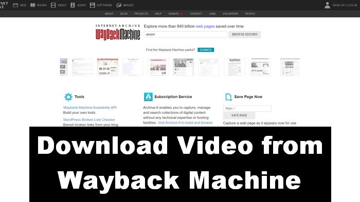 how-to-download-video-from-wayback-machine