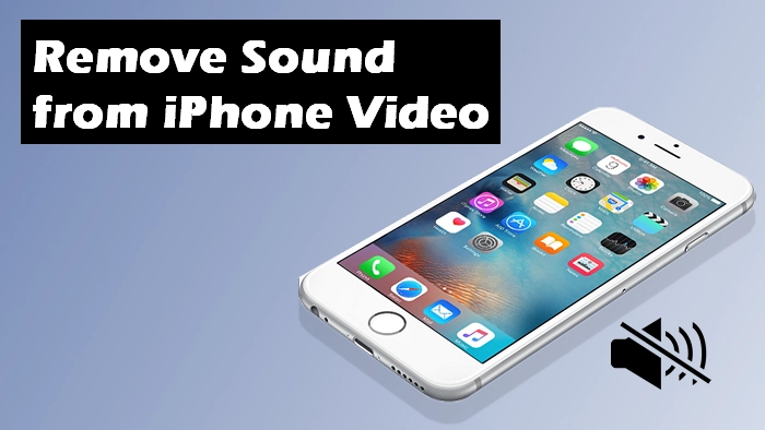 (4 Ways) How to Remove Sound from iPhone Video?